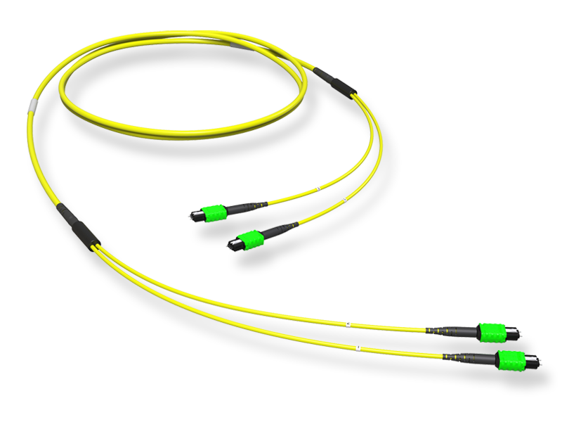 Оптическая магистральная сборка 24 x 09/125 OS2