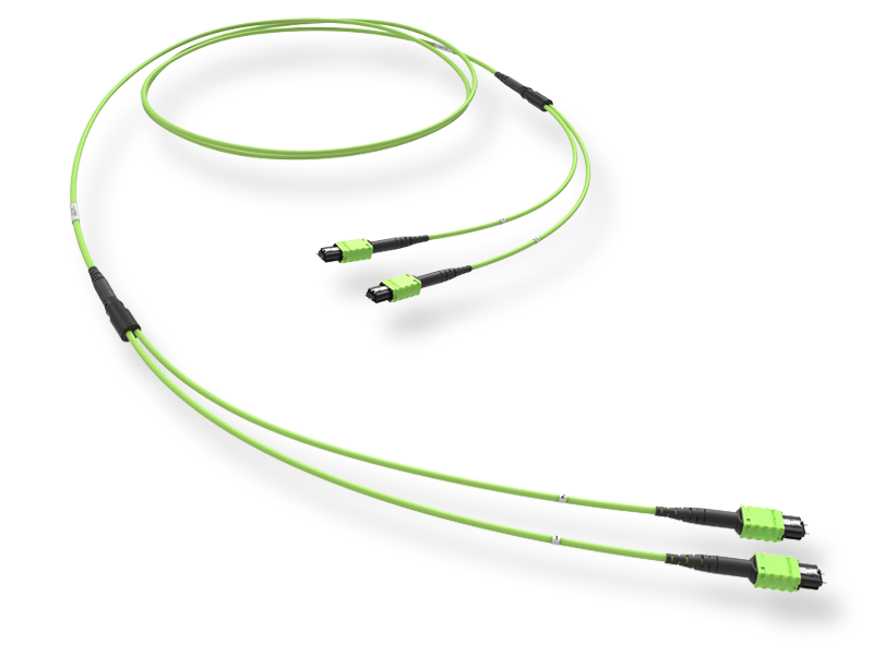 24 x 50/125 OM5, MTP PRO(12)m/MTP PRO(12)m