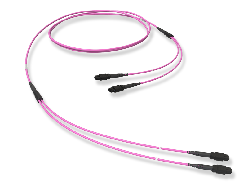 Оптическая соединительная сборка 24 x 50/125 OM4, MTP(12)f/MTP(12)f