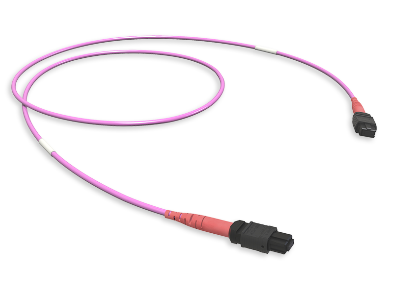 Оптическая соединительная сборка 24 x 50/125 OM4, MTP(24)f/MTP(24)f