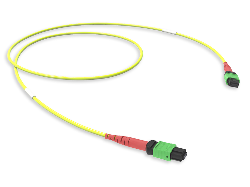 Оптическая соединительная сборка 24 x 09/125 OS2, MTP(24)f/MTP(24)f