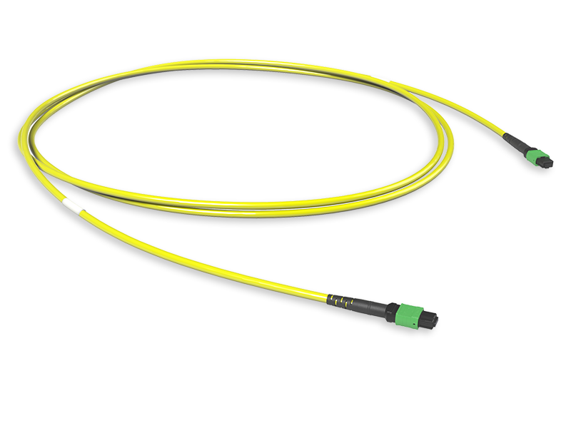 Оптическая магистральная сборка 12 x 09/125 OS2, MTP(12)m/MTP(12)m