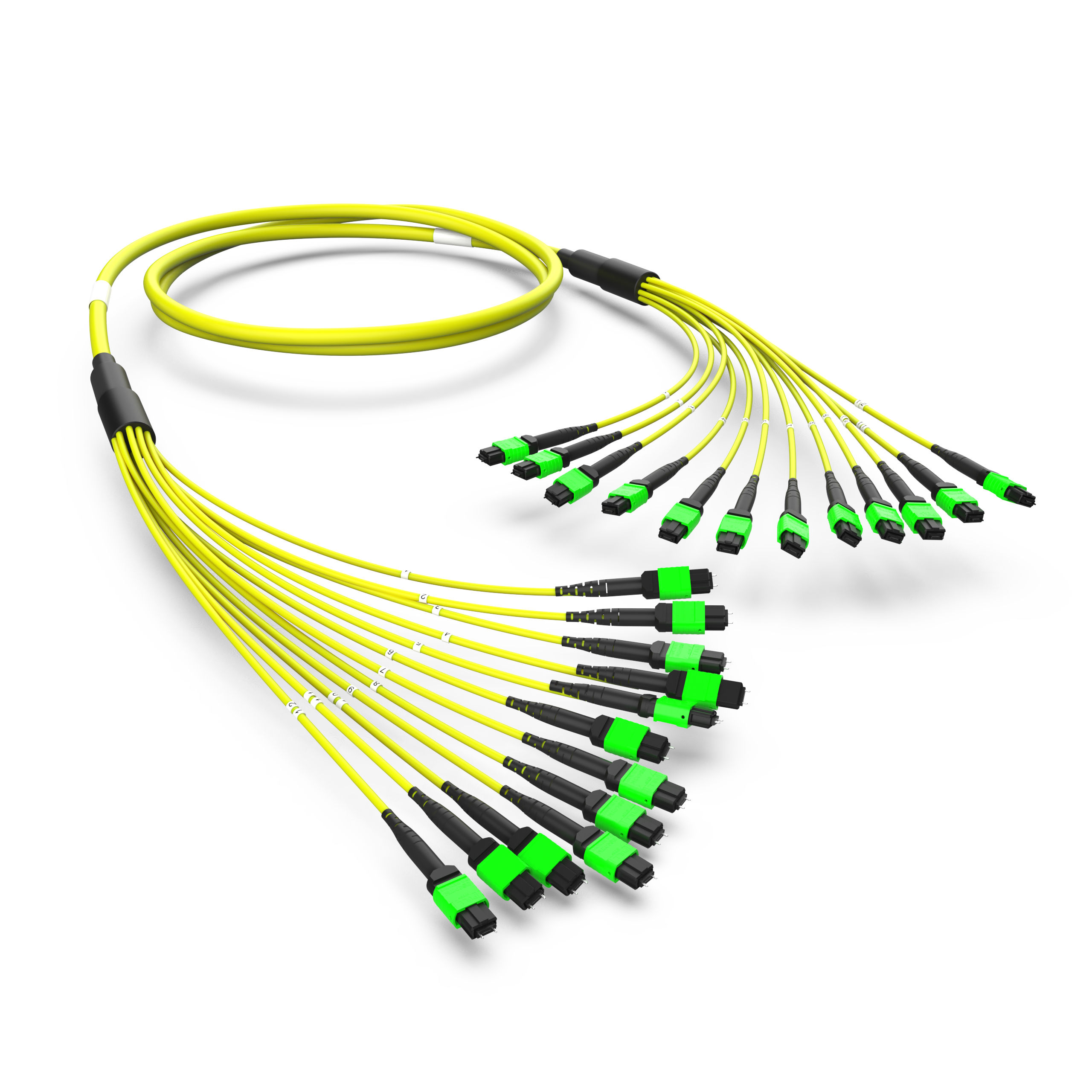 Оптическая магистральная сборка MTP(12)/MTP(12), 144ОВ SM9/125 OS2