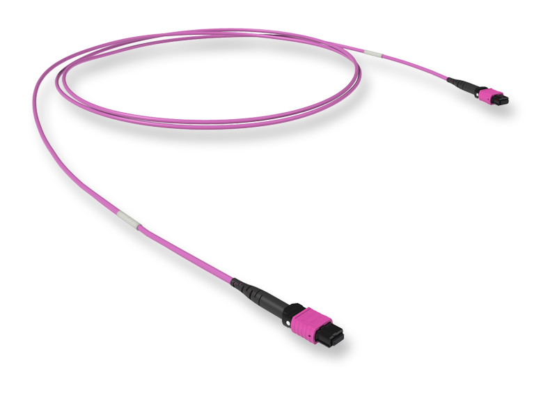 Оптический патчкорд 16 x 50/125 OM4, MTP(16)f PC/MTP(16)f PC