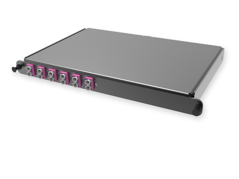 C2 - 12 x 50/125 OM4, MTP(12)m/LC Duplex
