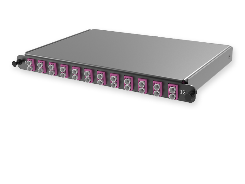 С2 - 24 x 50/125 OM4, MTP(12)m/LC Duplex